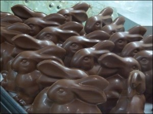 chocolate-bunnies